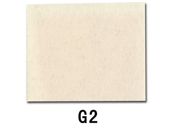 G2