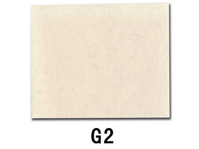 g2